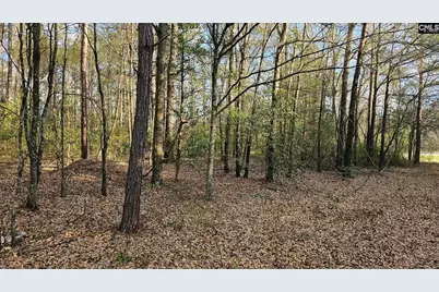 3244 Highway 1 N, Cassatt, SC 29032 - Photo 26