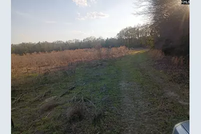 3244 Highway 1 N, Cassatt, SC 29032 - Photo 4