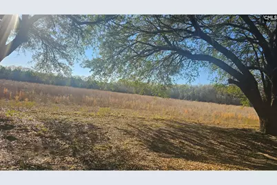 3244 Highway 1 N, Cassatt, SC 29032 - Photo 24