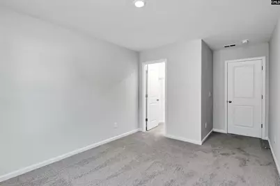 206 Boseman Road, Irmo, SC 29063 - Photo 30