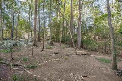 1525 Riviera Drive, West Columbia, SC 29169 - Photo 40
