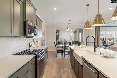 410 Rising Stream Way, Chapin, SC 29036 - Photo 14