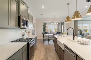 410 Rising Stream Wy, Chapin, SC 29036 - Photo 14