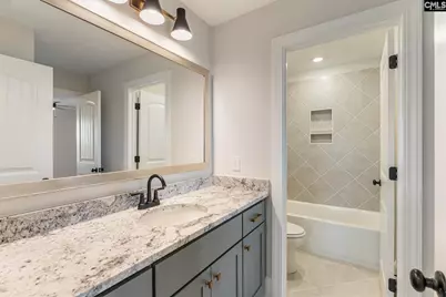 410 Rising Stream Way, Chapin, SC 29036 - Photo 24