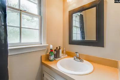 209 Brookspring Road, Columbia, SC 29223 - Photo 10