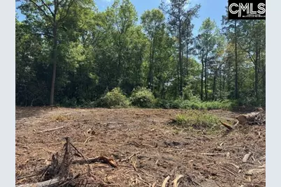 2450 Alpine Road, Columbia, SC 29223 - Photo 2