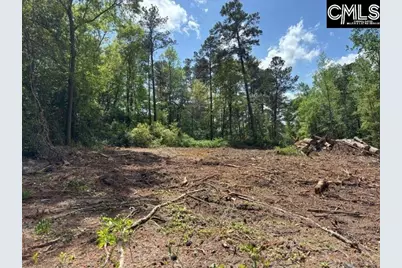 2450 Alpine Road, Columbia, SC 29223 - Photo 4