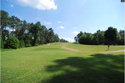 209 High Pointe Drive, Blythewood, SC 29016 - Photo 58