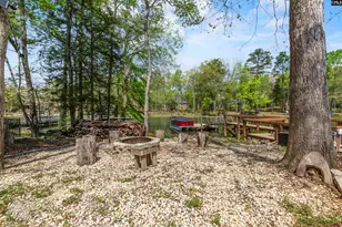 313 Bent Oak Dr, Chapin, SC 29036 - Photo 62