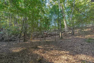 118 Lake Summit Drive, Chapin, SC 29036 - Photo 12