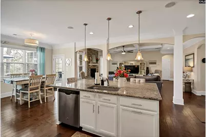 480 Palm Sedge Loop, Elgin, SC 29045 - Photo 12