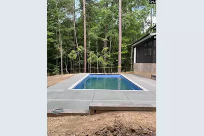 437 Amicks Ferry Road, Chapin, SC 29036 - Photo 8