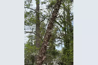 1705 Brook Drive, Camden, SC 29020 - Photo 88