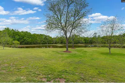4473 Summerland Highway, Leesville, SC 29070 - Photo 22