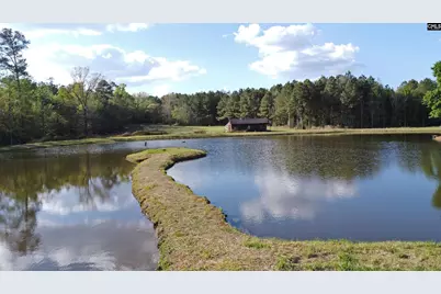 4473 Summerland Highway, Leesville, SC 29070 - Photo 4