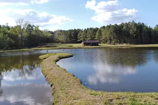 4473 Summerland Hwy, Leesville, SC 29070 - Photo 4