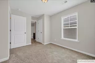 243 Gum Swamp Trl, West Columbia, SC 29169 - Photo 28