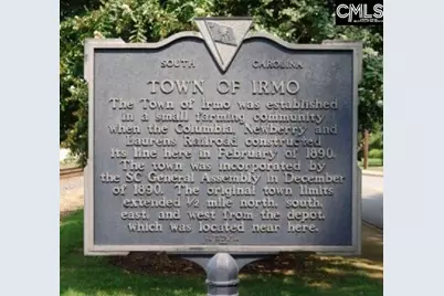 316 Conductor (Lot 58) Lane, Irmo, SC 29063 - Photo 24