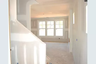 316 Conductor (Lot 58) Lane, Irmo, SC 29063 - Photo 8