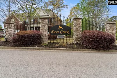 553 Briar Jump Lane, Blythewood, SC 29016 - Photo 8