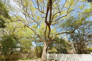 1731 Maplewood Dr, Columbia, SC 29205 - Photo 50