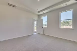 713 Miller Tree Way, Elgin, SC 29045 - Photo 18