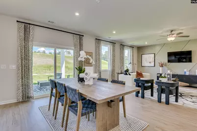 250 Summer Orchard Drive, Lexington, SC 29072 - Photo 12