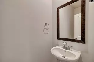 253 Summer Orch Dr, Lexington, SC 29072 - Photo 32