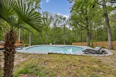 151 Pleasant View Road, Blythewood, SC 29016 - Photo 48