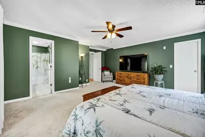 151 Pleasant View Road, Blythewood, SC 29016 - Photo 22