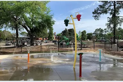 111 Holliday Road, Columbia, SC 29223 - Photo 32