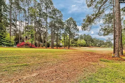 111 Holliday Road, Columbia, SC 29223 - Photo 26