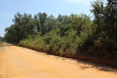 Poinsettia Road, Wagener, SC 29164 - Photo 4