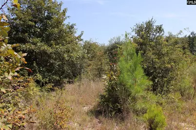 Poinsettia Road, Wagener, SC 29164 - Photo 16