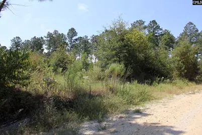 Poinsettia Road, Wagener, SC 29164 - Photo 10