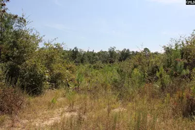 Poinsettia Road, Wagener, SC 29164 - Photo 14