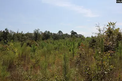 Poinsettia Road, Wagener, SC 29164 - Photo 18