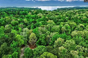 130 Orchard Pl Ct, Lexington, SC 29072 - Photo 76