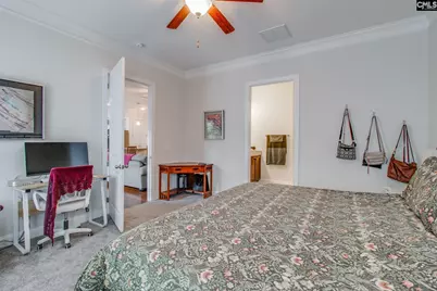 717 Carolina Aster, Blythewood, SC 29016 - Photo 18
