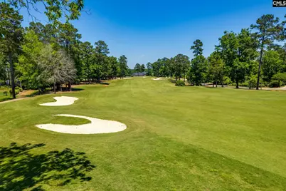 717 Carolina Aster, Blythewood, SC 29016 - Photo 56