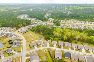 717 Carolina Aster, Blythewood, SC 29016 - Photo 40