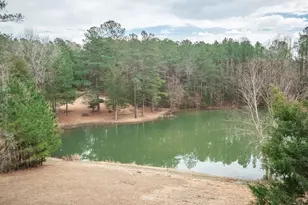 220 Roddy Dairy Ln, Winnsboro, SC 29180 - Photo 52