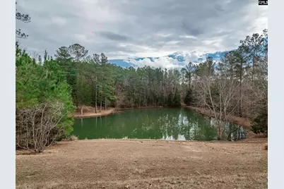 220 Roddy Dairy Lane, Winnsboro, SC 29180 - Photo 48