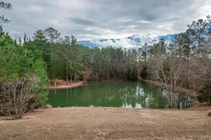 220 Roddy Dairy Ln, Winnsboro, SC 29180 - Photo 48