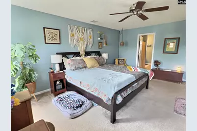 380 Eagle Pointe Drive, Chapin, SC 29036 - Photo 12