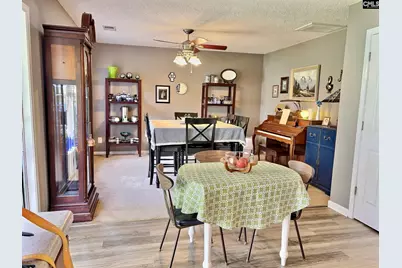 380 Eagle Pointe Drive, Chapin, SC 29036 - Photo 10