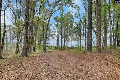 3643 Char-Augusta Road, Bamberg, SC 29003 - Photo 42