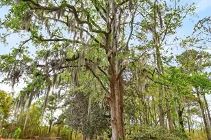 3643 Char-Augusta Rd, Bamberg, SC 29003 - Photo 32