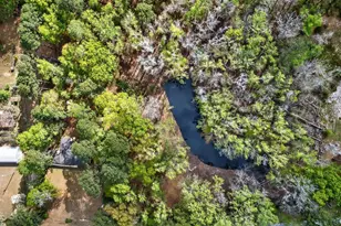 3643 Char-Augusta Rd, Bamberg, SC 29003 - Photo 8