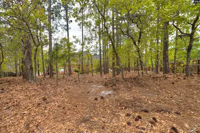 91 Old Still Road, Columbia, SC 29223 - Photo 46